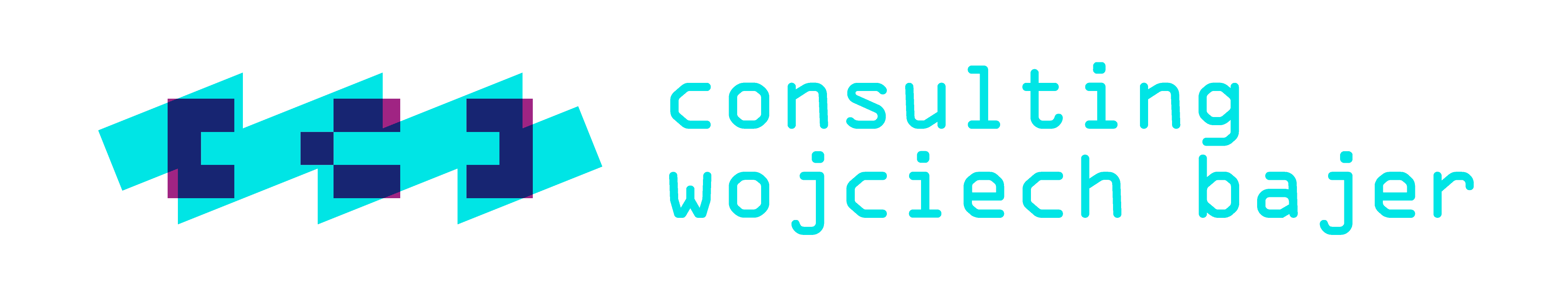 Consulting Wojciech Bajer